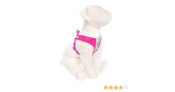 top paw harness how to put on