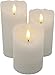 EGI - Set of 3 Flickering Real Wick Flameless Candles with Remote Control and Timer - Realistic Led Candles - Made with Real Wax