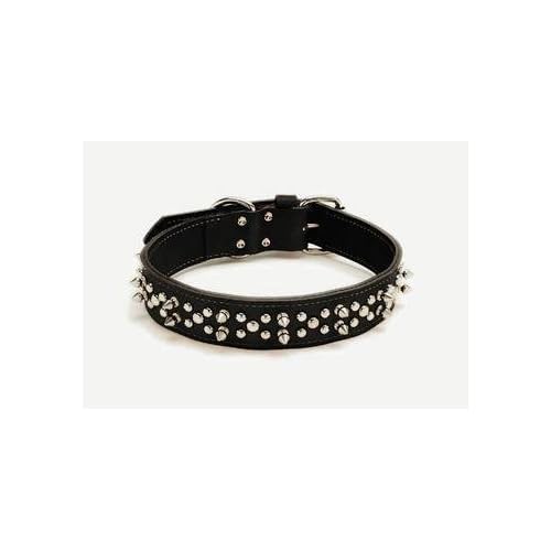 harley davidson leather dog collar