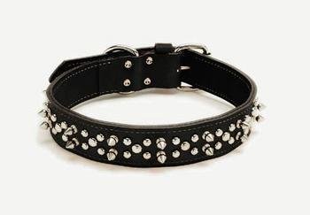 harley davidson spiked dog collar