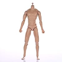 ZYAQ 1/6 Scale Narrow Shoulder Action Figure Male Muscular Body Toys Doll with Accessories fits TTM18 TTM19 Hot Toys