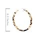 PHALIN Acrylic Hoop Earrings Tortoiseshell Acrylic Earrings Geometric Resin Earring Studs for Women (A Leopard)