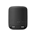 Sony XB10 Portable Wireless Speaker with Bluetooth, Black (2017 model) (Renewed)