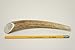 Elk Antlers for Dogs, ONE (1) Piece Medium Elk Antler Chew Bone for Medium Dogs, 6
