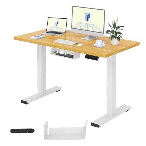 FLEXISPOT Höhenverstellbarer Schreibtisch Basic 100x60cm