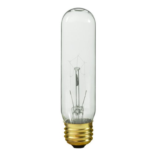 Bulbrite 15T10C 15-Watt Incandescent T10 Tubular Light, Clear