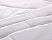 Allrange Waterproof Quilted Fitted Mattress Pad, Clean&Safe, Stretch-up-to 16