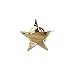 WizardPins Gold Star Lapel Pin- 1 Piece