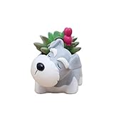 Youfui Cute Dog Flowerpot Resin Succulent Planter Desk Mini Ornament (Schnauzer Pot)