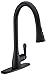 AguaStella AS98MB Matte Black Kitchen Sink Faucet with Pull Down Sprayer Single Handle with Deck Plate