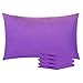 NTBAY Queen Pillowcase Set - 4 Pack Brushed Microfiber 20x30 Pillowcases - Soft, Wrinkle-Free, Fade-Resistant, Stain-Resistant, Purple Pillowcases with Envelope Closure - 20x30 Inches, Purple