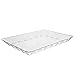 silver collection Rectangular Plastic Trays, Disposable Serving Party Platters 9