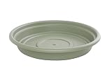Bloem SDC16-42 Dura Cotta Plant Saucer, 16-Inch, Living Green