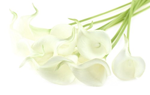 FiveSeasonStuff 10 Stems of Real Touch Calla Lillies (Latex) Artificial Flower Bouquet, Perfect for Wedding, Bridal, Party, Home Office DÃ©cor DIY (White & Green Spathe)