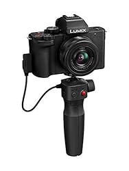 Panasonic LUMIX G100 Mirrorless