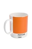 Whitbread Wilkinson Pantone Bone China Mug, Pumpkin