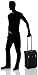 Victorinox Werks Traveler 5.0 WT Softside Upright Luggage, Black, Carry-On (20