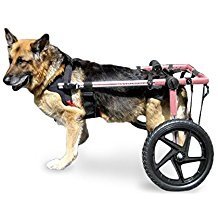 Gts Dog Wheelcart, Large (Black, 60x40x40 cm)