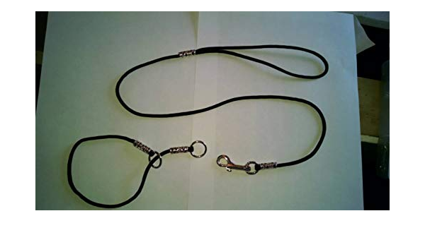 dog show leads amazon