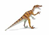 Safari Ltd  Carnegie Scale Model Velociraptor