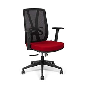 SOS Spacewood LiteOffice Xline LX Mesh Back Nylon Base Ergonomic Office Chair (Red)