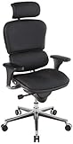 Ergohuman by Eurotech Seating Leather Swivel