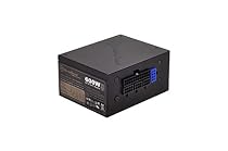 SilverStone Technology 600W SFX Form Factor 80 PLUS GOLD Full Modular Power Supply with +12V single rail, Active PFC (SX600-G)