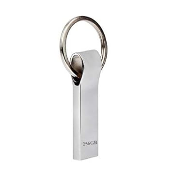 Elevavie USB Stick 256GB Speicherstick USB-Flash-Laufwerk Schlüsselanhänger Robust USB Flash Drive Wasserdicht (256GB) (256-g