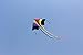 HENGDA KITE-Huge Rainbow Kite for Kids -It's Big! with Long Colorful Tail-Perfect for Beach or Park