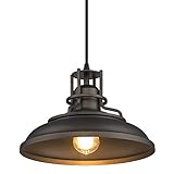 FEMILA Farmhouse Pendant Light,12-inch Barn Vintage