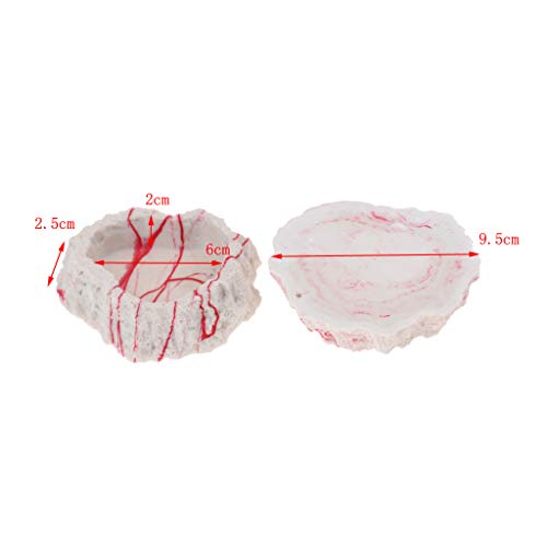 image for D DOLITY 2x Resin Amphibians Reptile Feeding Rock Bowl Water Drinking 