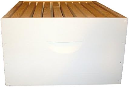 Deep Hive Super Painted with 10 Frames and Foundation