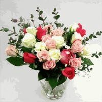 Amazon お祝いバラの花束 白 ピンク系25本 生花 お祝い 記念日 誕生日 フラワーギフト バラ 花束 オンライン通販