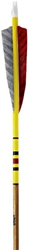 Rose City Archery 59 Bear Arrows X300 Matched Arrow with 12-Pack Points