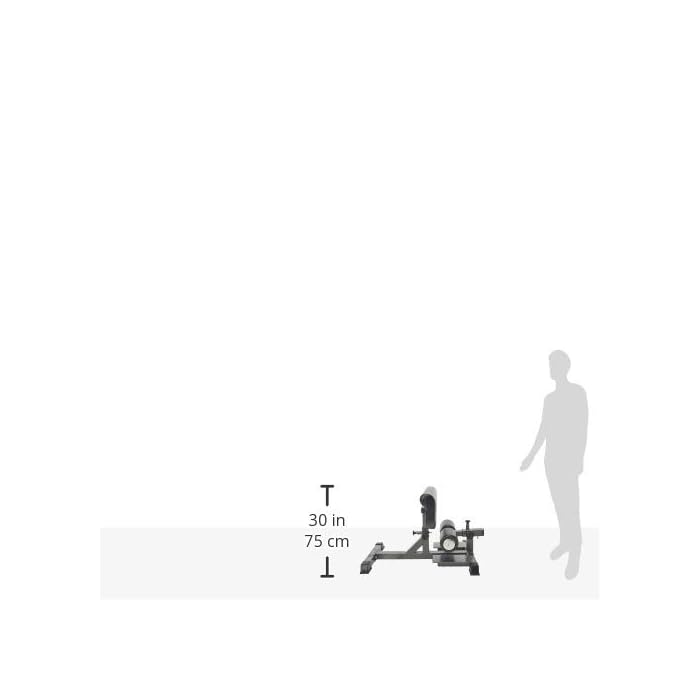 Element Fitness Sissy Squat Machine Superior Leg Extension Substitute