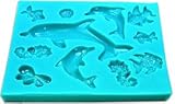 Fun with Dolphins