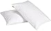 puredown Goose Feather Down Bed Pillows for Sleeping with 2 Outer Protectors, Hotel Standard/Queen Pillows Set of 2 with Cotton Fabric Cover (Pack of 2)