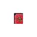 Northwest NCAA Cornell Big Red Unisex-Adult Raschel Throw Blanket, 50