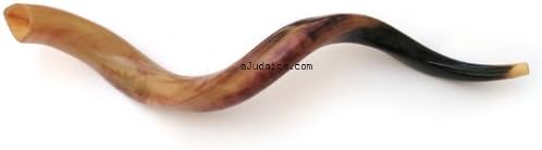Peer Hastam Yemenite Polished Shofar Kudu Horn (44+ Inches)
