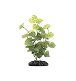 Marina Ecoscaper Hydrocotyle Silk Plant Plant, 8-Inch