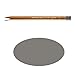 Caran d'Ache Luminance 6901 Lightfast Pencil No. 504 - Payne's Grey 30% (6901.504)