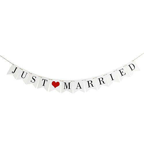 image for ZMTC Vintage Just Married Banner Wedding Bunting Photo Booth Props Sig