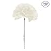 Royal Imports Artificial Carnations, Silk Faux Flowers, for Funeral Arrangements, Wedding Bouquets, Cemetery Wreaths, DIY Crafts - 100 Single 5