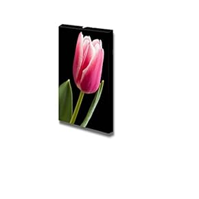 Canvas Prints Wall Art - Pink Tulip Flower on Black Background. | Modern Wall Decor/Home Decoration Stretched Gallery Canvas Wrap Giclee Print. Ready to Hang - 12" x 18"