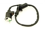 Ignition Coil Fits Honda Spree NQ50 NQ 50 1984- 1987 & NB 50 1985-1987 NEW