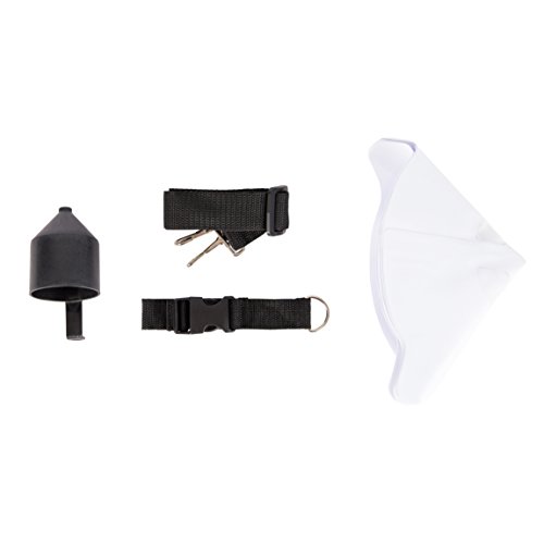 Paint Zoom (Blue Pro) Pricepulse