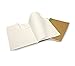 Moleskine Evernote Journal with Smart Stickers, Soft Cover, XL (7.5