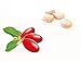 MiracleBio MBIO Miracle Fruit Tablets, 10-Count/Pack XL Size 600Mg/Count 2-Pack, Turn Sour To Sweet, Made Of 100% Natural Fresh Miracle Berry, Flavor Tripping, Strengthened Version, 2-Pack