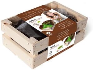 Kit de Cultivo Caja de madera - Lechuga Rizada: Amazon.es: Jardín