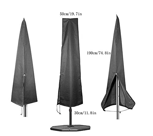 View 2